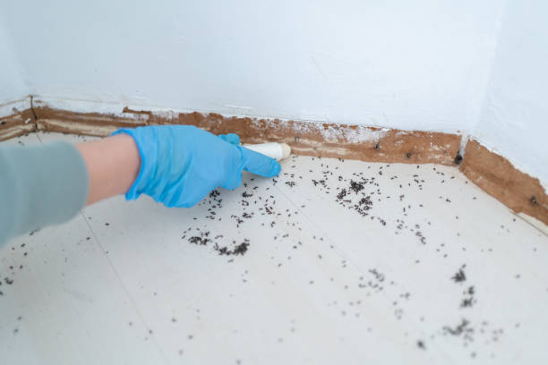 Best Pest Exclusion Services  in Tarrytown, NY